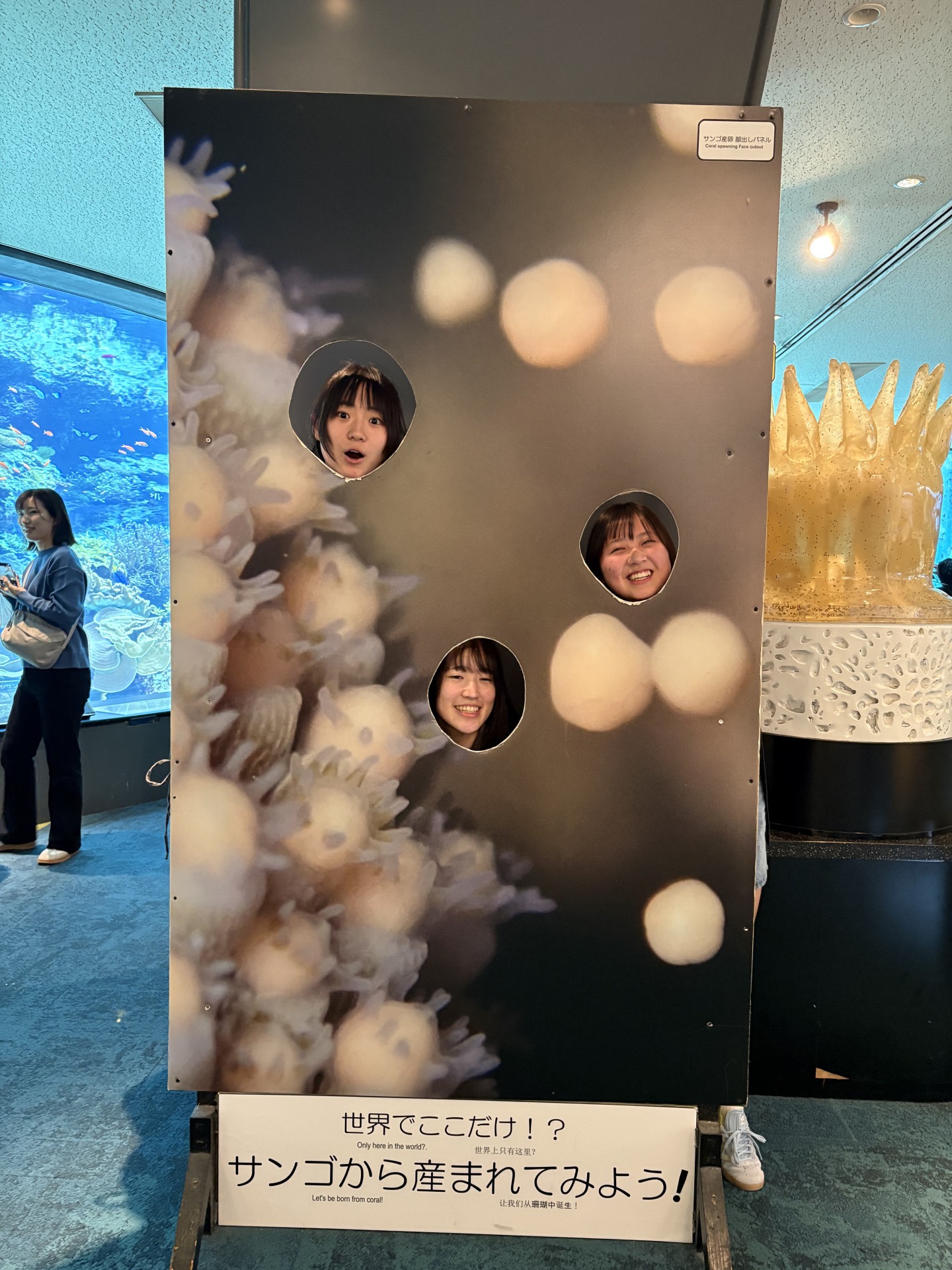 Image - 2026-02-10T170441.142